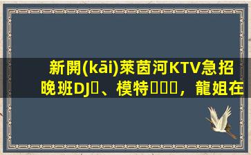 新開(kāi)萊茵河KTV急招晚班DJ、模特，龍姐在杭州帶你上班